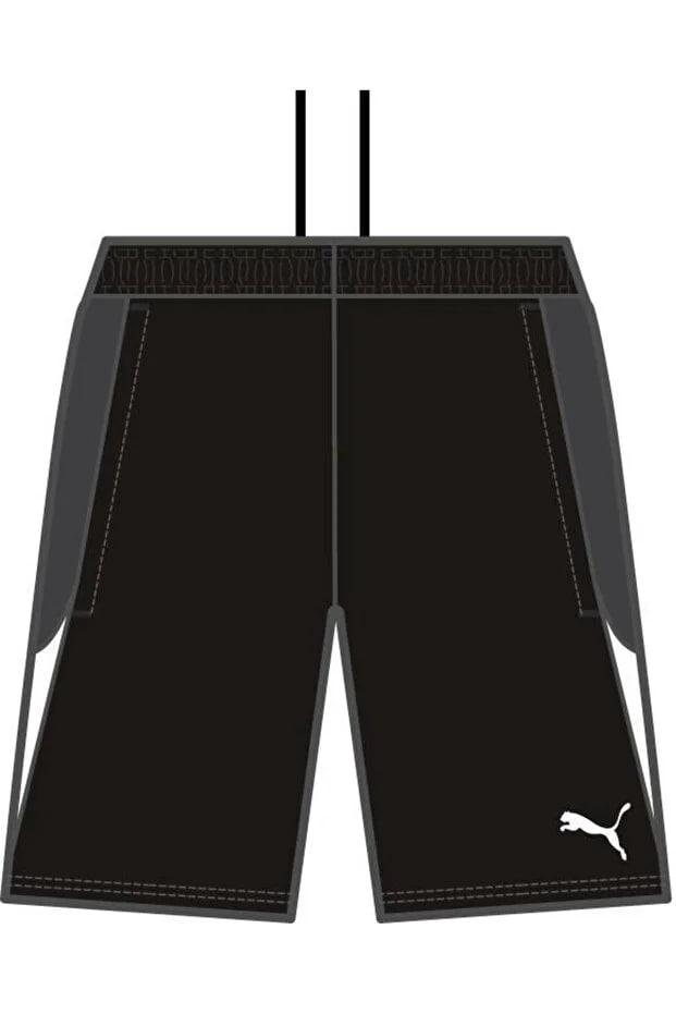 Puma Individualliga Training Shorts 2