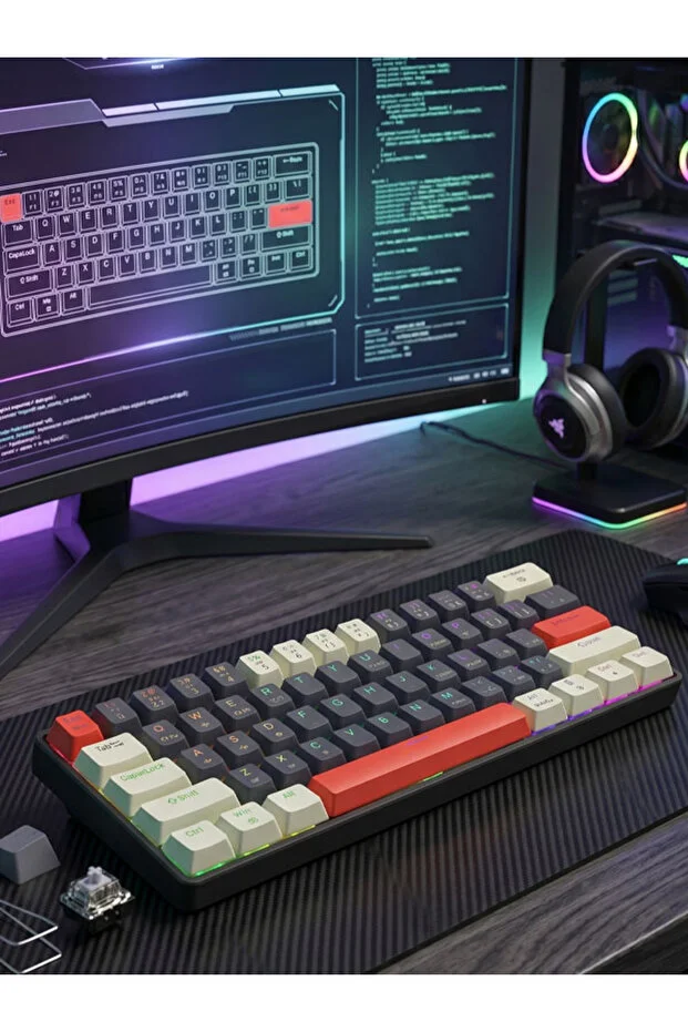 ERDİNEKS 60% Mini Mechanical Gamer Keyboard - Blue Switch Rgb Lighted Type-C Wired Gaming Keyboard Without Numpad